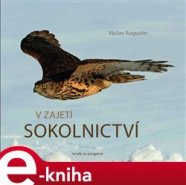 V zajetí sokolnictví - Václav Augustin