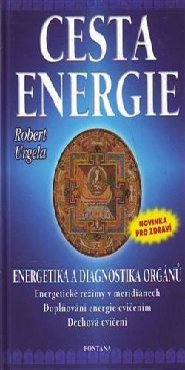 Cesta energie
