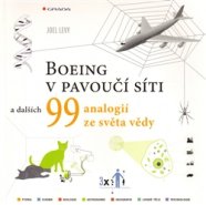 Boeing v pavoučí síti - Joel Levy