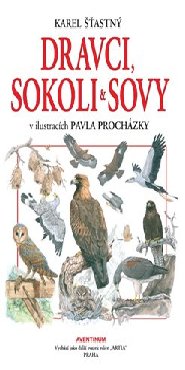 Dravci, sokoli a sovy
