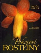 Pokojové rostliny - Jiří R. Haager, Romana Rybková