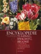Encyklopedie tulipánů, hyacintů, begonií - Stanislav Vilím