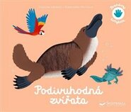 Poznávej dotykem - Podivuhodná zvířata - Raphaëlle Michaud, Pascale Hédelín