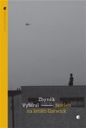 Nocleh na letišti Gatwick - Zbyněk Vybíral