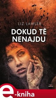 Dokud tě nenajdu - Liz Lawler