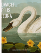 Dvacet plus jedna NEJ Severočeské vědecké knihovny