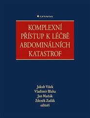 Komplexní přístup k léčbě abdominálních katastrof