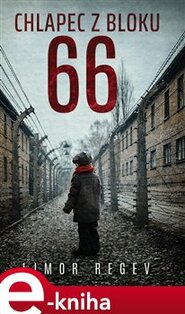 Chlapec z bloku 66 - Limor Regev