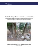 Zaniklá sídla Moravy a Slezska se zaměřením k Jesenické oblasti