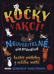 Kočky v akci!