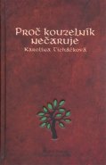 Proč kouzelník nečaruje + CD - Karolína Ticháčková