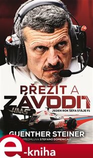 Přežít a závodit. Jeden rok šéfa stáje F1