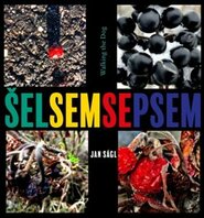 Šel sem se psem