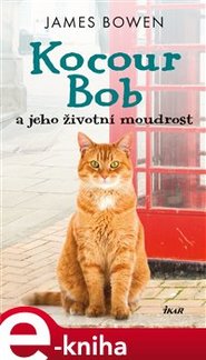 Kocour Bob a jeho životní moudrost - James Bowen