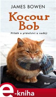 Kocour Bob