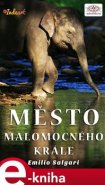 Město malomocného krále - Emilio Salgari