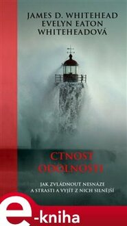 Ctnost odolnosti