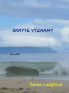 Skryté významy