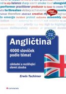 Angličtina 4000 slovíček podle témat - Ervin Tschirner