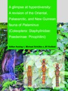 A glimpse at hyperdiversity: A revision of the Oriental, Palaearctic, and New Guinean fauna of Palaminus (Coleoptera: Staphylinidae: Paederinae: Pinophilini)