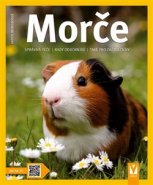 Morče